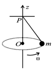 Rotational Motion mcq question image